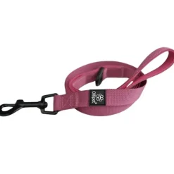 Ollipet For Wagging Tails | Hundesnor