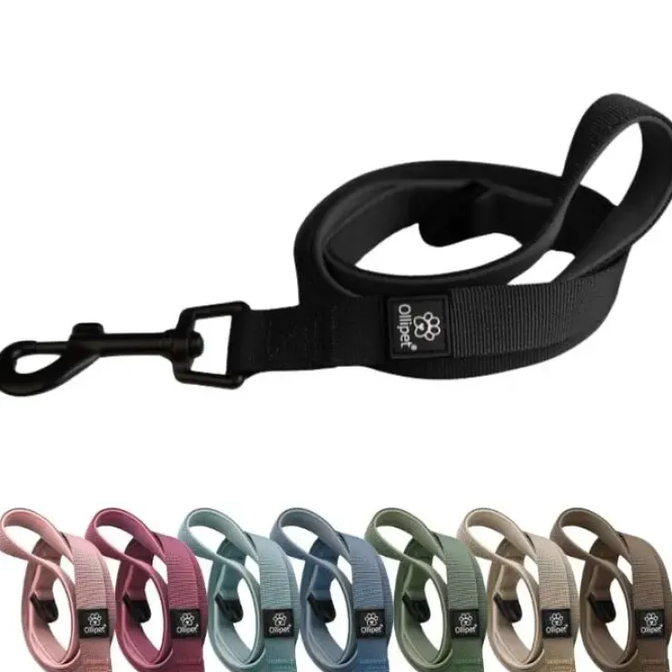 Ollipet For Wagging Tails | Hundesnor