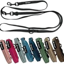Ollipet For Wagging Tails | Refleks Dressurline