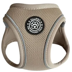 Ollipet For Wagging Tails | Step in Sele