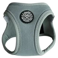 Ollipet For Wagging Tails | Step in Sele