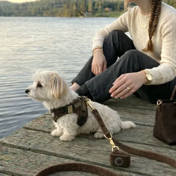Ollipet For Wagging Tails | Velluto hundesnor