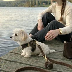 Ollipet For Wagging Tails | Velluto hundepose taske