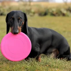 Ollipet Frisbee Classic Slim