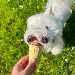 Ollipet FrostSnack Isform | Lav en hundeis