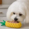 Ollipet Frostsnack | Pineapple