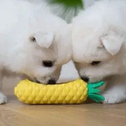 Ollipet Frostsnack | Pineapple