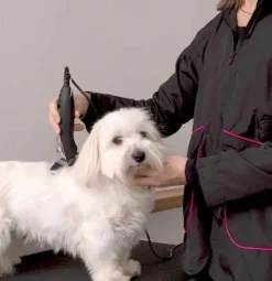 Ollipet Groomingjakke