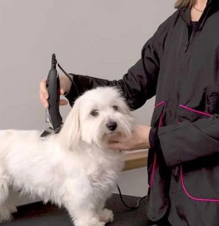 Ollipet Groomingjakke