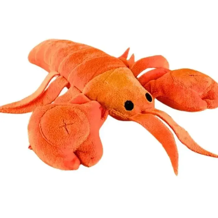 Ollipet Hide-a-Treat | Hummer