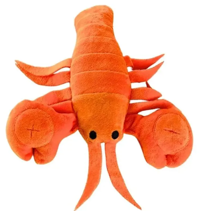 Ollipet Hide-a-Treat | Hummer