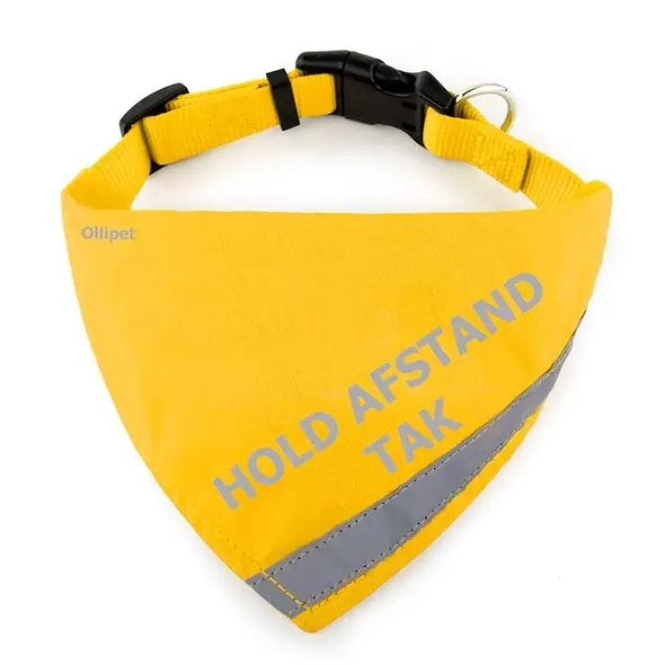 Ollipet Hold afstand tak | Bandana