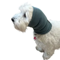 Ollipet Hoodie For Dog Ears
