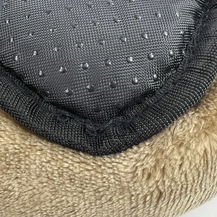 Ollipet Kaya Wellness Madras