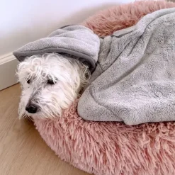Ollipet Koala Dry bag