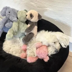 Ollipet Krammedyr