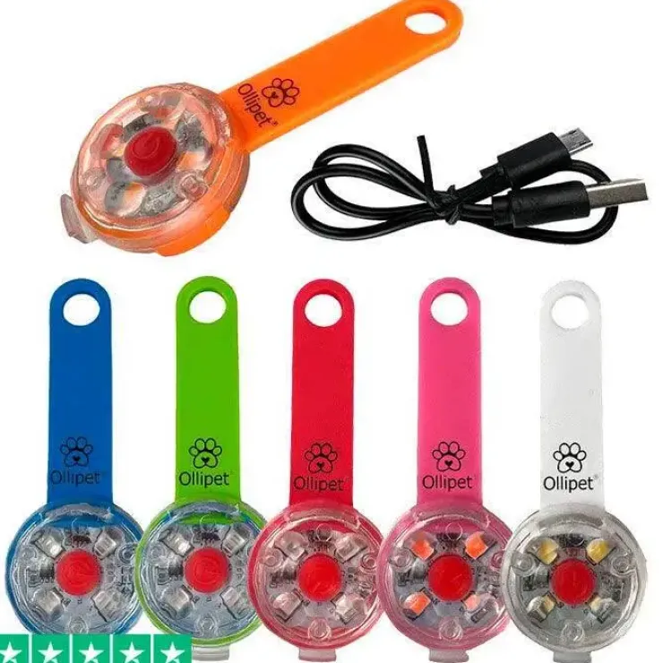 Ollipet LED Light in the dark | Genopladelig