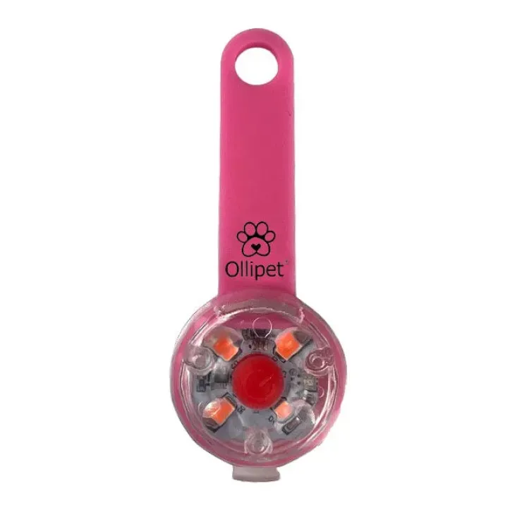 Ollipet LED Light in the dark | Genopladelig