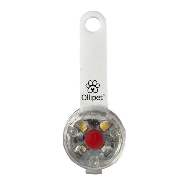Ollipet LED Light in the dark | Genopladelig
