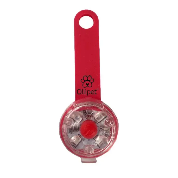 Ollipet LED Light in the dark | Genopladelig