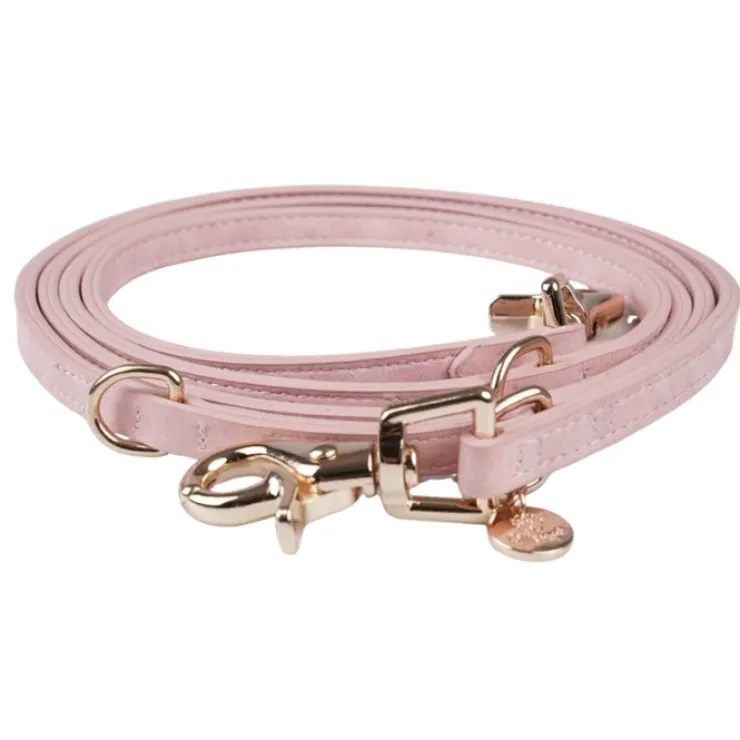 Ollipet Luxor Hundesnor
