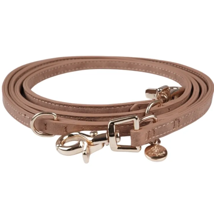 Ollipet Luxor Hundesnor