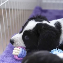 Ollipet Macaron chew rope ball