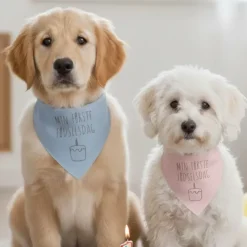 Ollipet Min første fødselsdag | Bandana