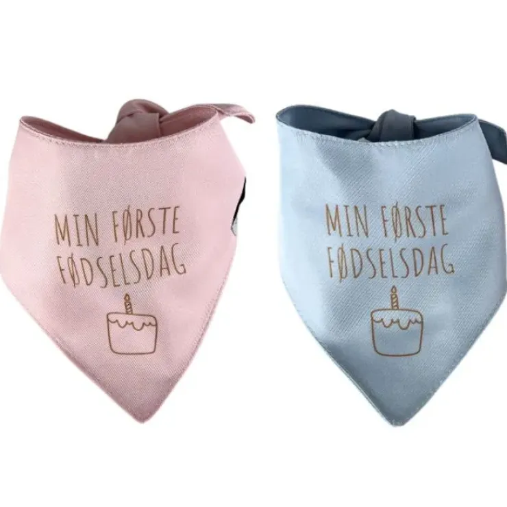 Ollipet Min første fødselsdag | Bandana