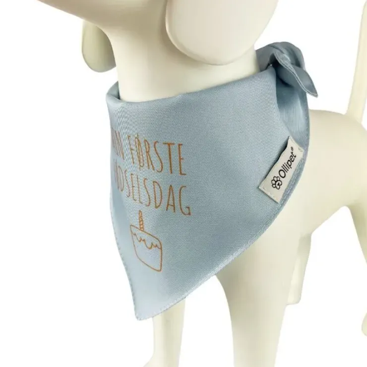 Ollipet Min første fødselsdag | Bandana