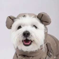 Ollipet Mini Grizzly Bear Flyverdragt