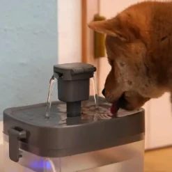 Ollipet Mini Pet Water Fountain
