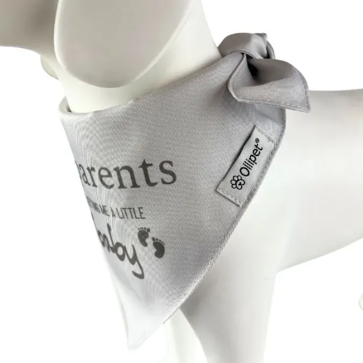 Ollipet "My parents are getting me a little baby" bandana