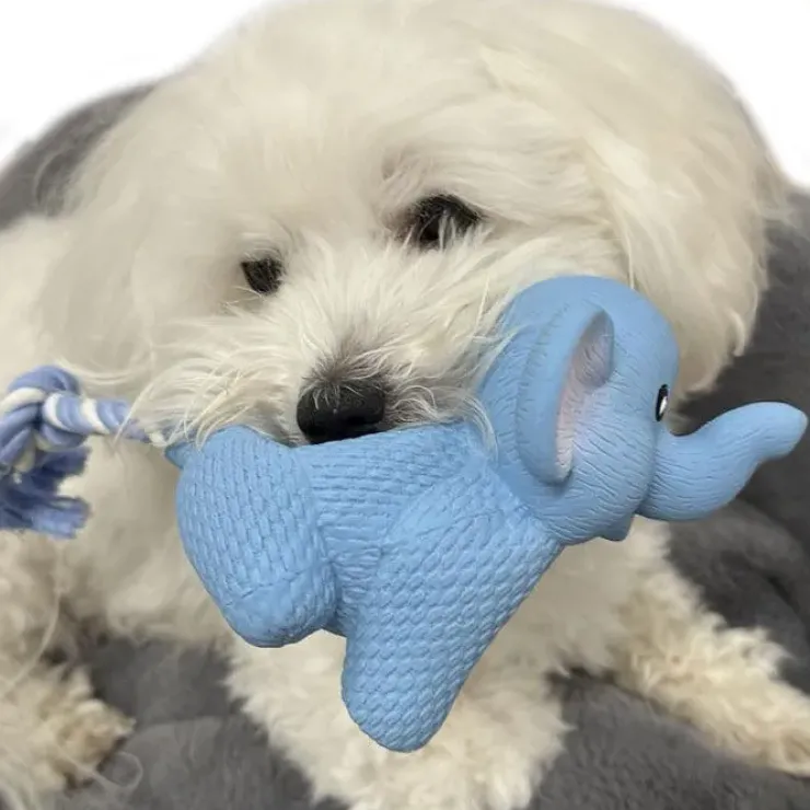 Ollipet Natur Latex | Elefanten Bodil