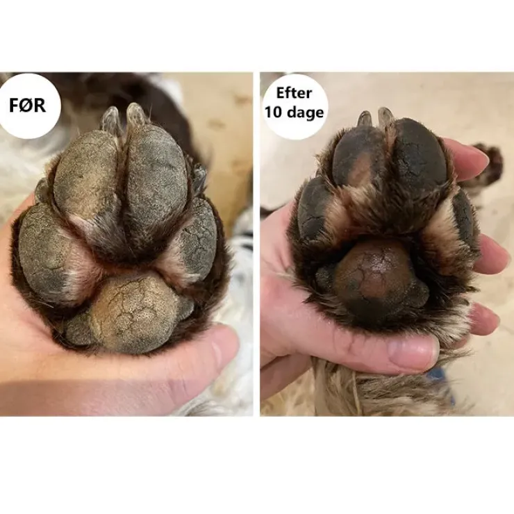 Ollipet Naturlig Potevoks | 60g