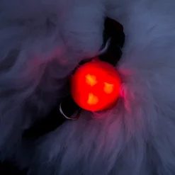 Ollipet Night Light silicone LED lygte | mini