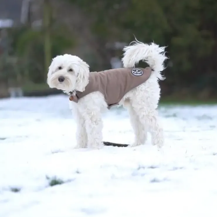 Ollipet Outdoor Fleecejakke