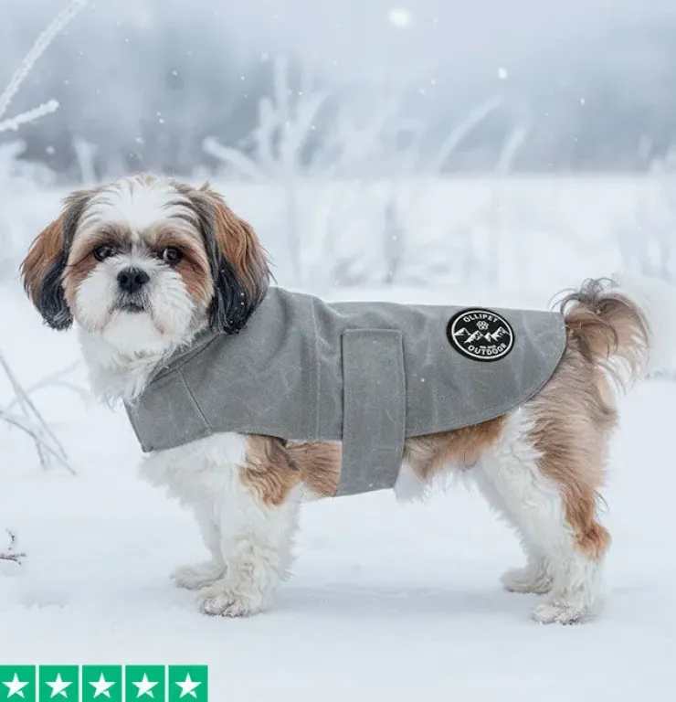 Ollipet Outdoor Windbreaker