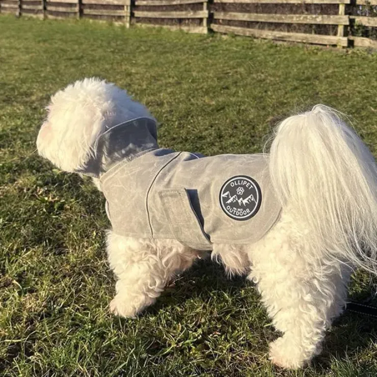 Ollipet Outdoor Windbreaker