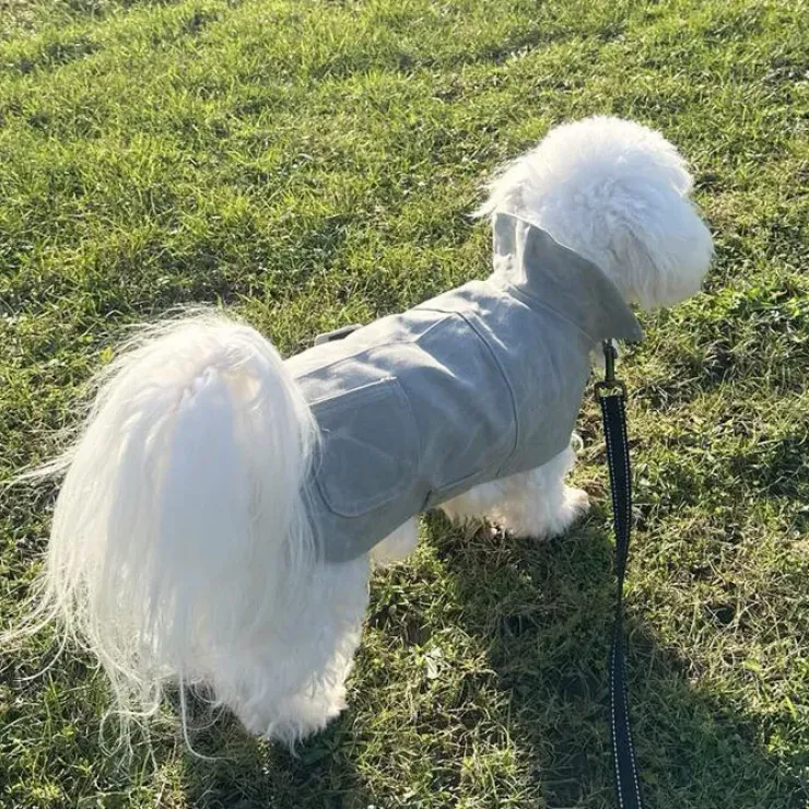 Ollipet Outdoor Windbreaker