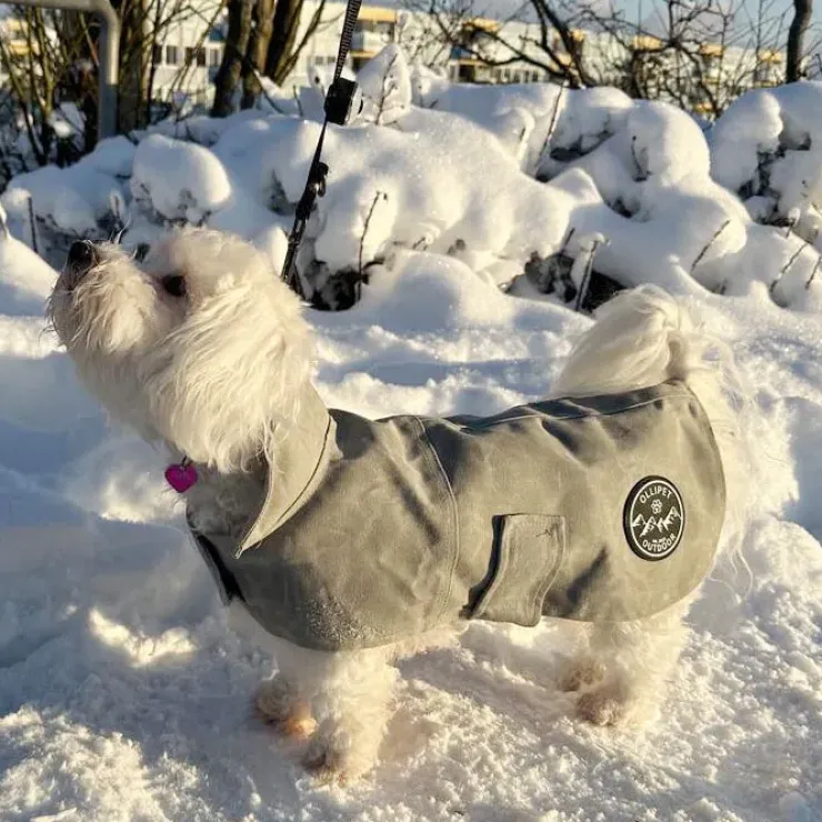Ollipet Outdoor Windbreaker