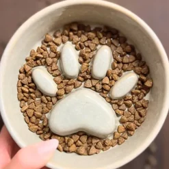 Ollipet paw slowfeeder keramikskål