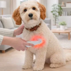Ollipet Petcare Infrarød Terapilampe | til kæledyr