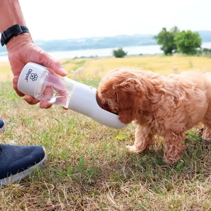 Ollipet Pet Water Cup | 2i1