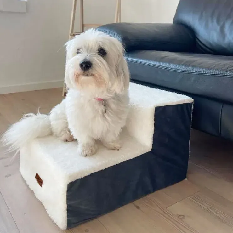Ollipet Plystrappe