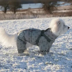 Ollipet Polar Flyverdragt