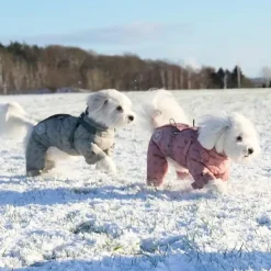 Ollipet Polar Flyverdragt