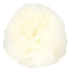 Ollipet Pompom hårpynt