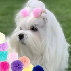 Ollipet Pompom hårpynt