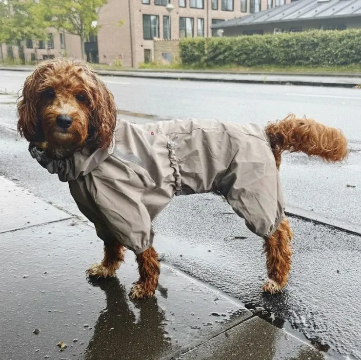 Ollipet Poncho Regndragt | Khaki